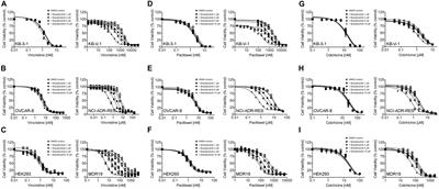 Branebrutinib (BMS-986195), a Bruton’s Tyrosine Kinase Inhibitor, Resensitizes P-Glycoprotein-Overexpressing Multidrug-Resistant Cancer Cells to Chemotherapeutic Agents